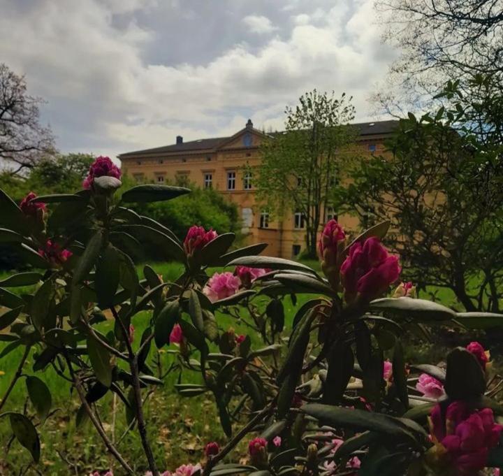 Schloss Tressow Bobitz Eksteriør billede